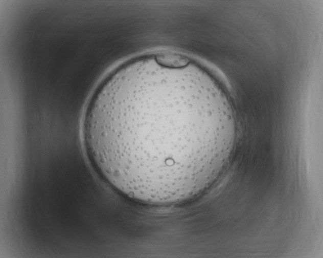 X0000102311279200807251034