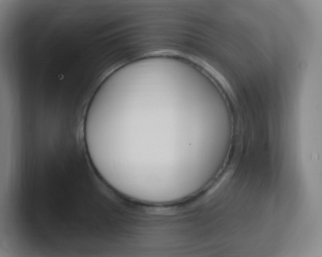 X0000102311281200807251034