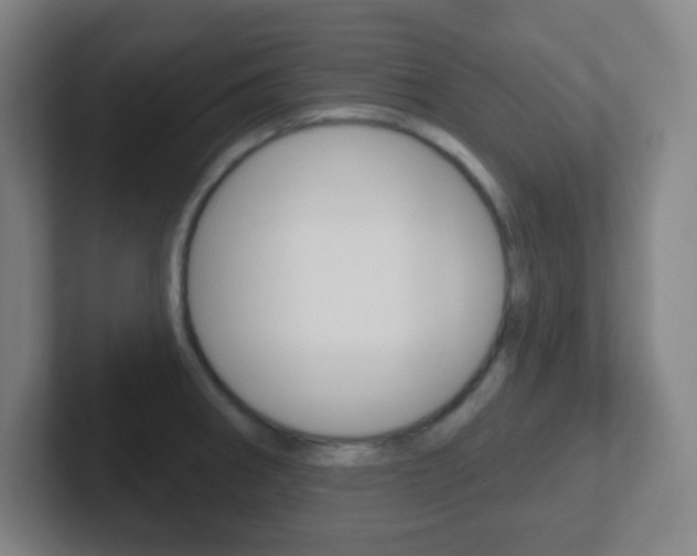 X0000102311282200807251034