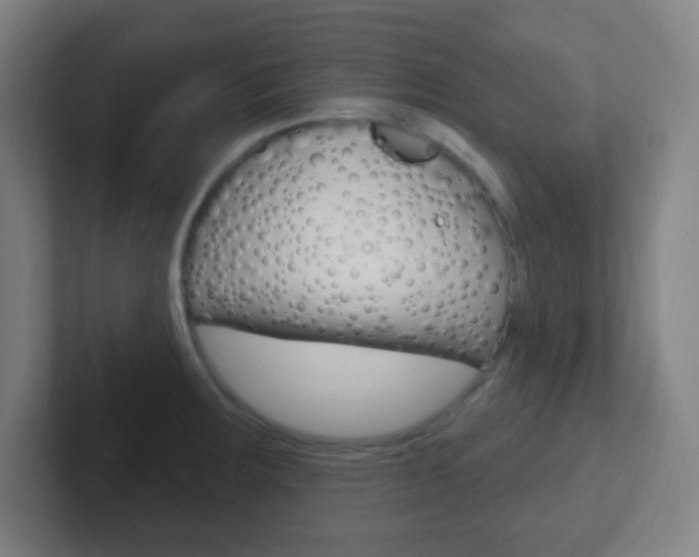 X0000102311283200807251034