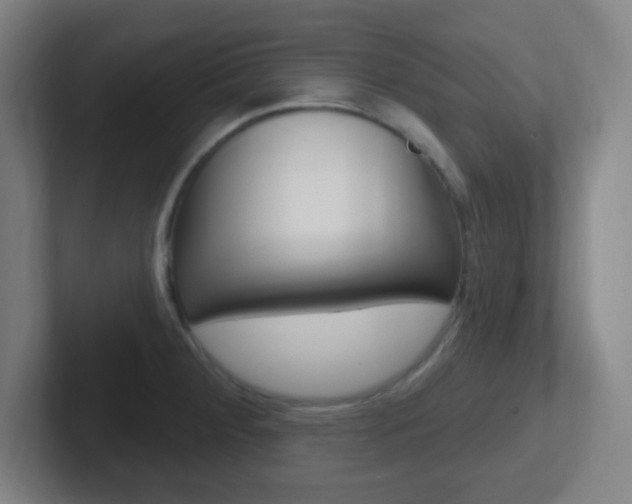 X0000102311284200807251034