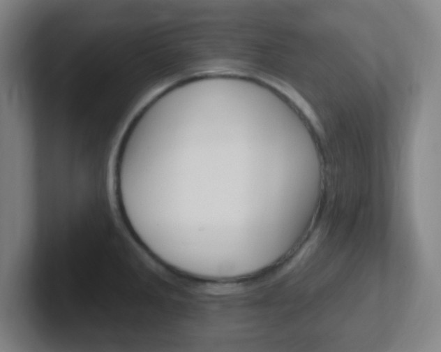 X0000102311285200807251034
