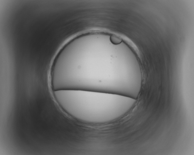 X0000102311287200807251033