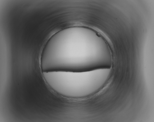 X0000102311289200807251033