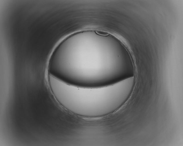 X0000102311296200807251033
