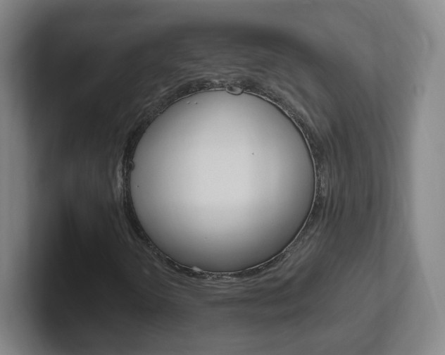 X0000102311298200807251033