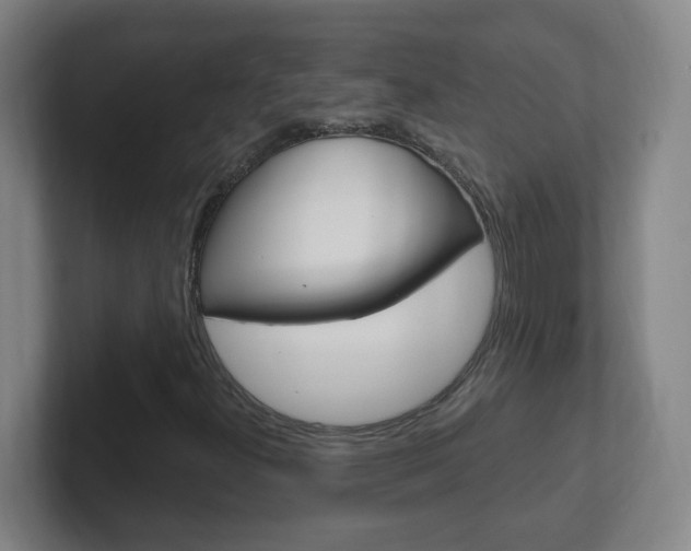 X0000102311300200807251033