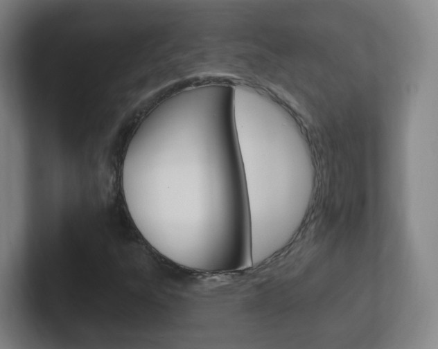 X0000102311303200807251033
