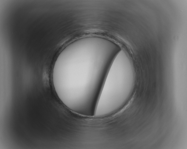 X0000102311305200807251033