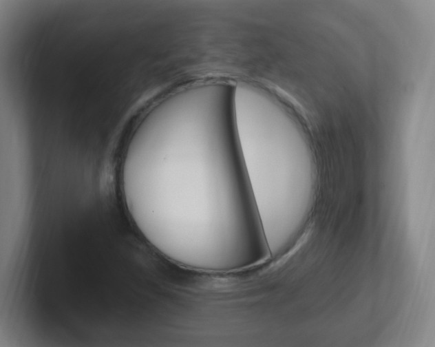 X0000102311309200807251033