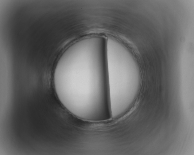 X0000102311313200807251033