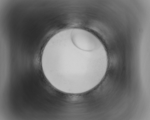 X0000102311314200807251033