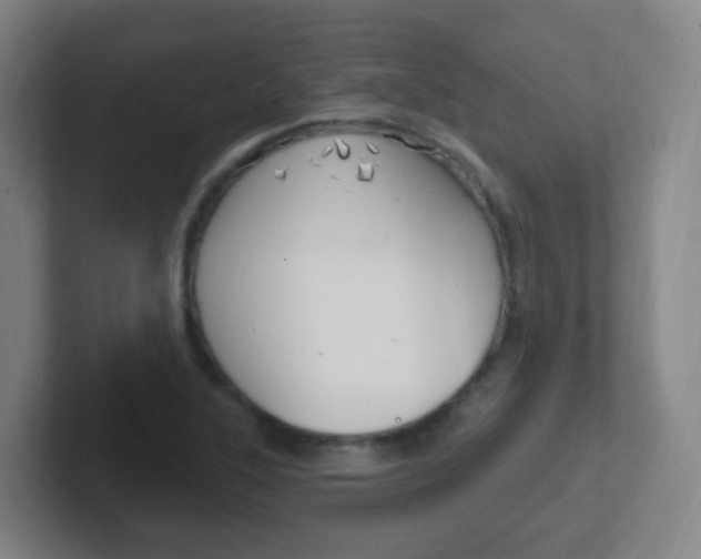 X0000102311315200807251033