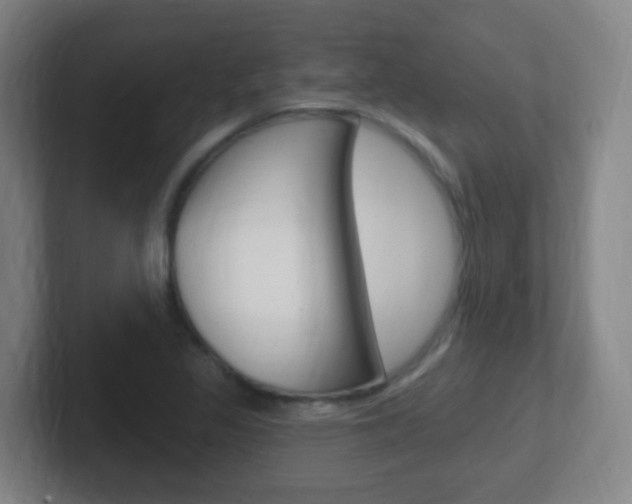 X0000102311317200807251033