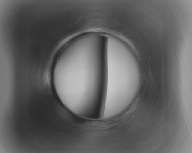 X0000102311319200807251033