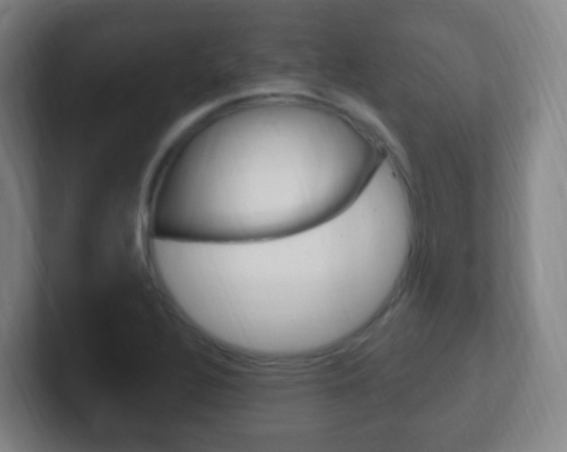 X0000102311320200807251033