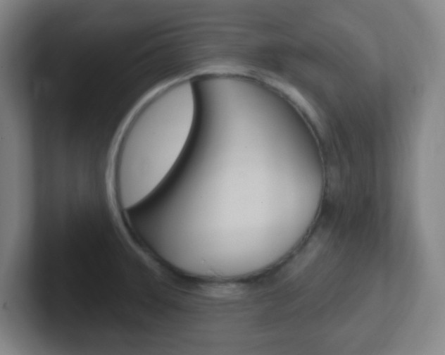 X0000102311331200807251033