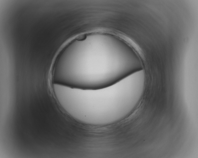 X0000102311332200807251033