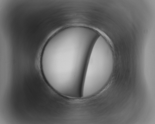 X0000102311333200807251033