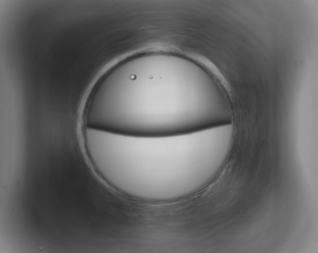 X0000102311335200807251033