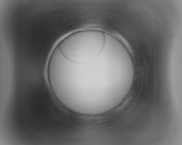 X0000102311336200807251033