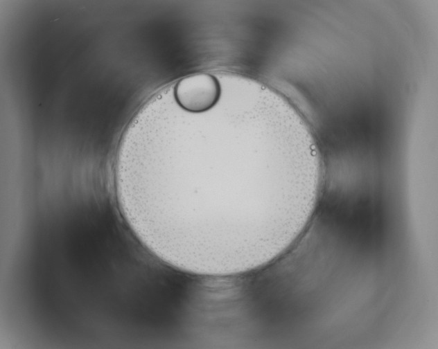 X0000102311338200807251033