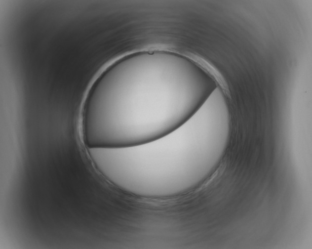 X0000102311340200807251033