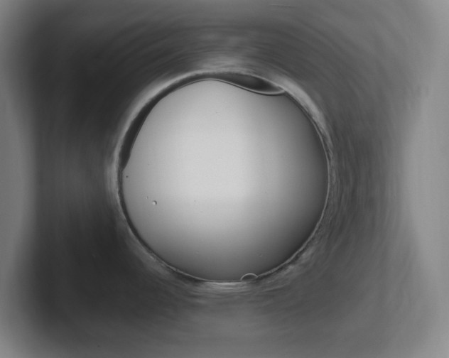 X0000102311344200807251033