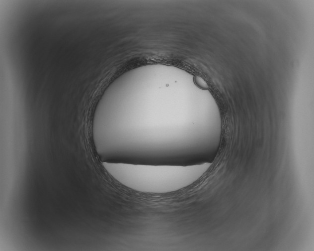 X0000102311345200807251033