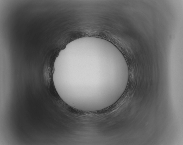X0000102311346200807251033