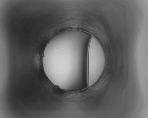 X0000102311347200807251033