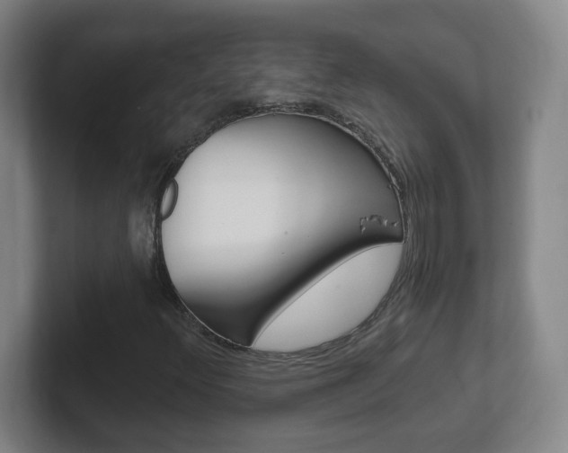 X0000102311348200807251033