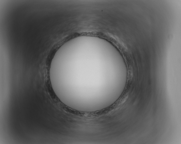 X0000102311350200807251033