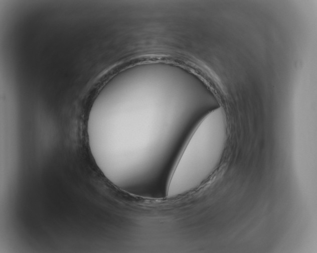 X0000102311352200807251033