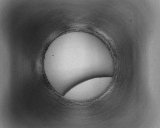 X0000102311354200807251033