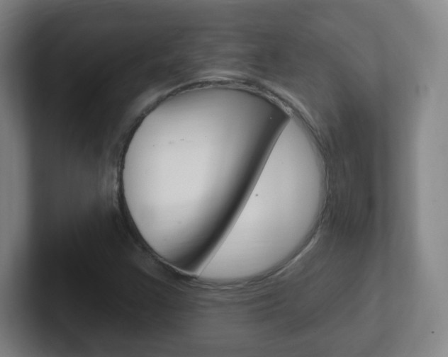X0000102311355200807251033