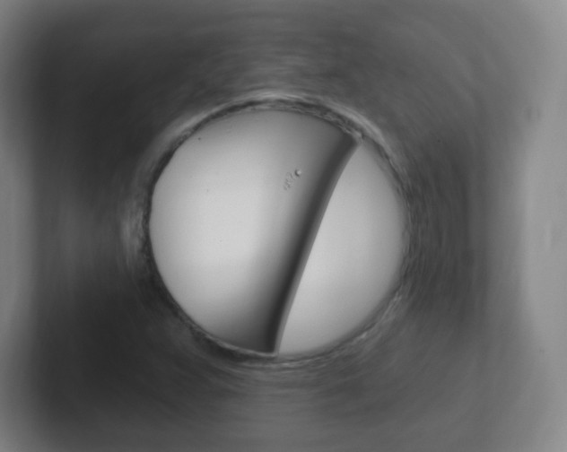 X0000102311359200807251033