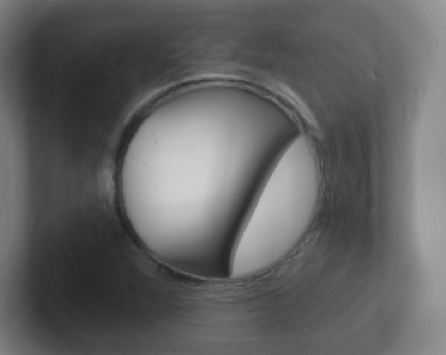 X0000102311360200807251033
