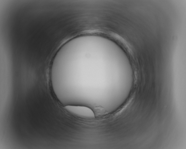 X0000102311361200807251033