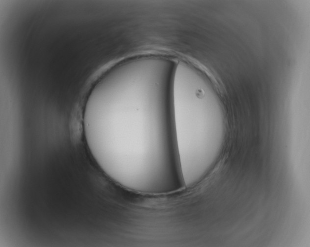 X0000102311363200807251033