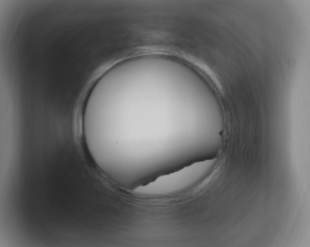 X0000102311365200807251032