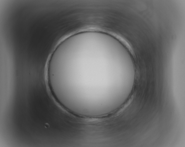 X0000102311382200807251032