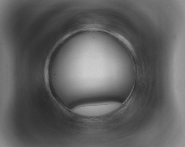 X0000102311384200807251032