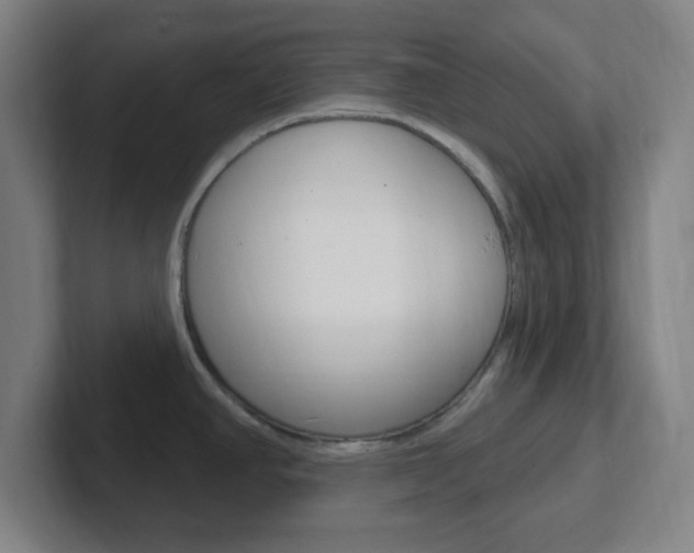 X0000102311390200807251032