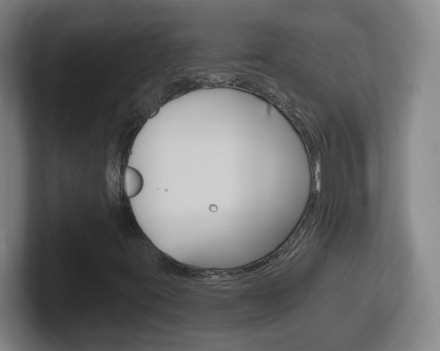 X0000102311395200807251032