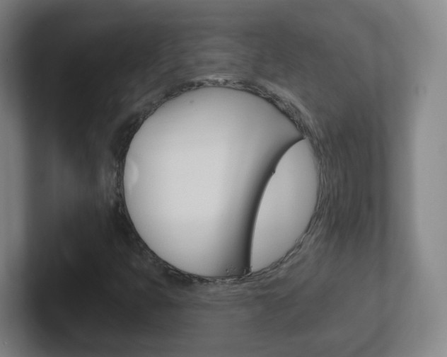 X0000102311399200807251032