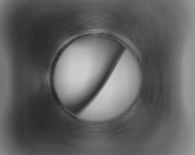 X0000102311412200807251032