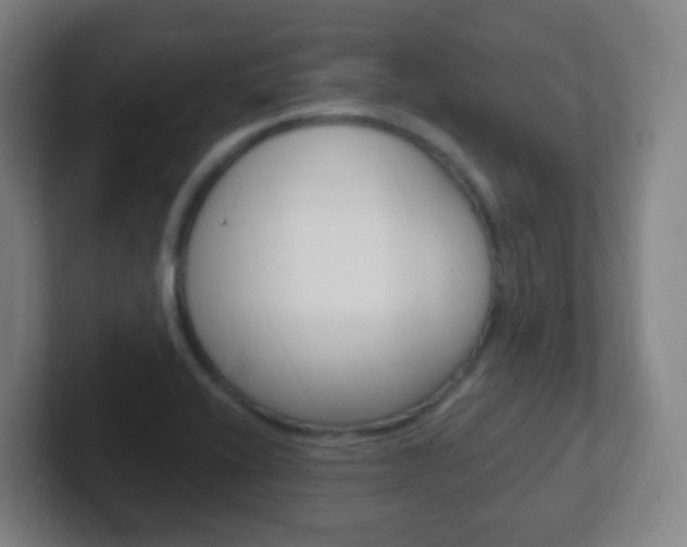 X0000102311416200807251032