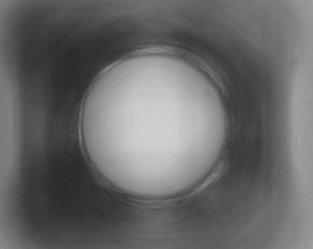 X0000102311417200807251032