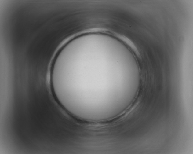 X0000102311420200807251032